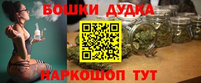 индика Шахты