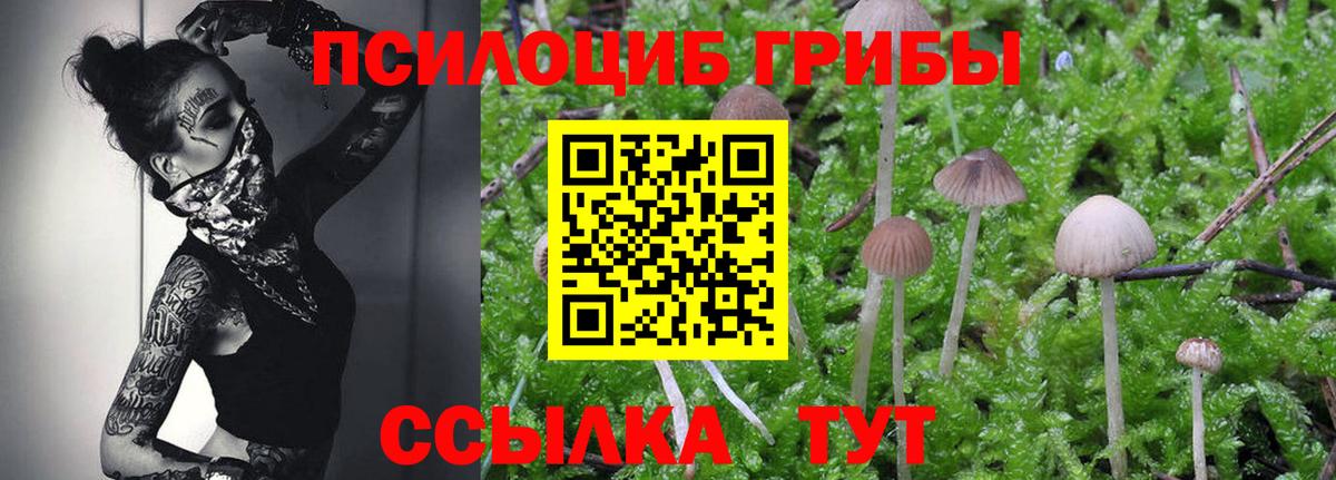 Галлюциногенные грибы Magic Shrooms  Вход с VPN  Псилоцибиновые грибы мицелий  Кольчугино 