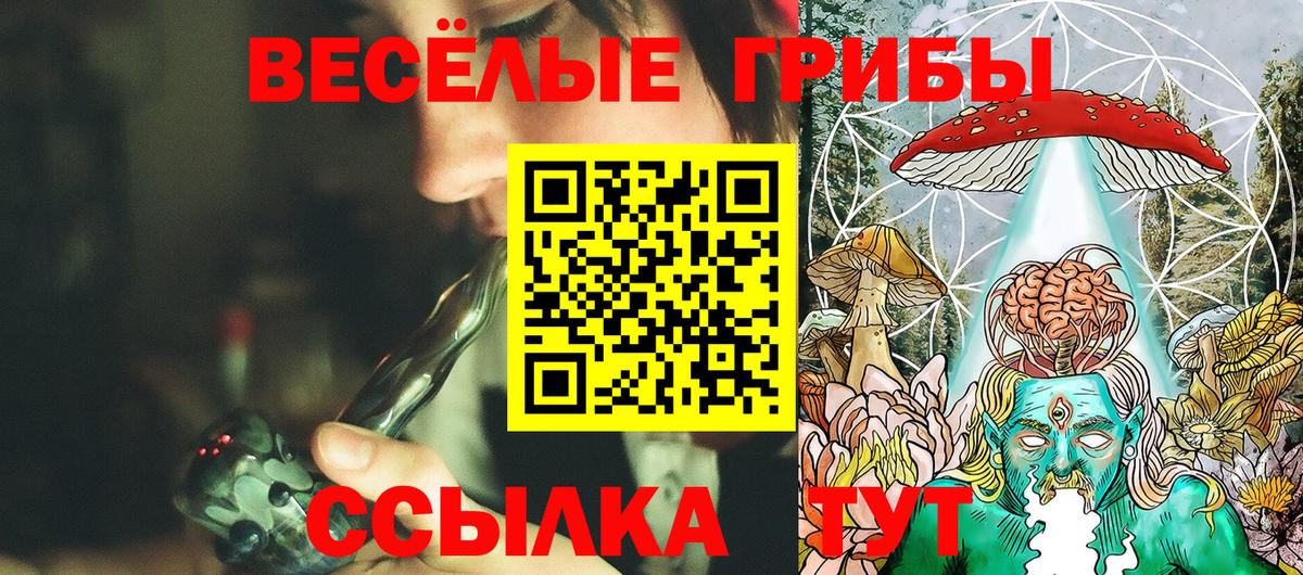 Псилоцибиновые грибы MAGIC MUSHROOMS Кольчугино